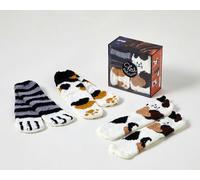 Coffret Les goûters de la famille Chat chaussettes 3ème édition - Collectif - First - Boîte ou accessoire - Jeux livres objets