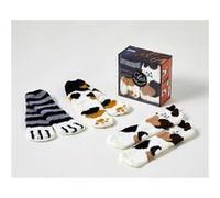 Coffret Les goûters de la famille Chat chaussettes – 3e éd. – First