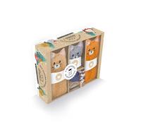 Collectif – Mes chatons : Chaussettes – Coffret Larousse