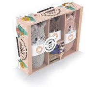 Coffret Mes chatons- chaussettes