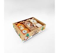 Coffret Mes jolies chaussettes toutes d'ours