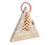 Coffret mon Sapin de Noël en biscuit