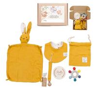 Coffret Naissance 6 Pièces Mixte - Cadeau Baby Shower - Doudou Lapin coton bio, Bavoir, Attache-Tétine, Anneau Dentition bois & silicone sans BPA, Pochette, Disque Hello World - Cadeau CHANSENY®