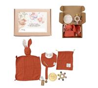 Coffret Naissance 6 Pièces Mixte - Cadeau Baby Shower - Doudou Lapin coton bio, Bavoir, Attache-Tétine, Anneau Dentition bois & silicone sans BPA, Pochette, Disque Hello World - Cadeau CHANSENY®