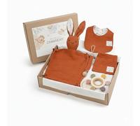 Coffret Naissance Mixte - Coffret Cadeau Bébé avec Doudou Lapin - 6 Pièces en Coton Bio (Anneau de Dentition, Bavoir, Attache-Tétine) - Cadeau Naissance & Baby Shower - CHANSENY®