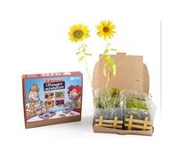 Coffret potager miniature