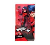 Coffret pour Miraculous Ladybug 26 cm Tenue Rouge et Noir + 2 Accessoires - Set poupée Mannequin articulée + Une Carte Offerte