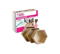 Coffret pyrogravure + 3 étagères hexagonales bois 24-30 cm