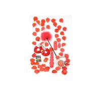Coffret Red Romance Toy Joy