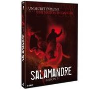 Coffret Salamander Saison 1 DVD E