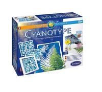 Le Cyanotype - Sentosphère