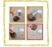 Radis et Capucine - Kit d'activité : Je fabrique ma tête à pousser