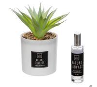 Coffret senteur ""Cactus"" - Vert clair - Atmosphera createur d'interieur