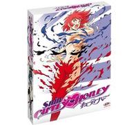 Coffret Shin Cutey Honey 30ème Anniversaire Édition Collector A4 Blu-ray E