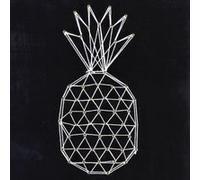 Tableau Graine Creative Coffret String Art - Tableau noir Ananas art filaire 22 x 22 cm