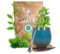 Coffret Yerba Mate Soul Mate Mega Menta 500g - Set complet avec tasse, bombilla et accessoires
