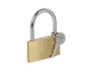 Cogex 80517 Cadenas 60 mm avec 2 clés, Gris