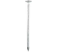 COGEX 85229 Pointe acier, Gris, 2 x 38 mm, Set de 100 Pièces