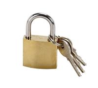 Cogex – Cadenas en acier 30 mm – 2 clés