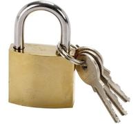 COGEX Cadenas en acier 30mm + 2 clés