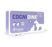 Cognidine 60tbl.