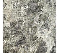 Coh Meets Abul Mogard