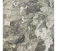 Coh Meets Abul Mogard