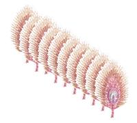 COHEALI 20 pièces Patchs Plumes de Paon Dégradé Brodés Accessoires Vêtements DIY Résistants et Colorés pour Manteaux et Chapeaux