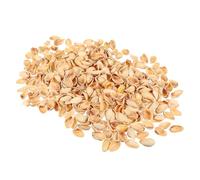 COHEALI Coquilles Naturelles de Pistaches 500G pour Bricolage Matériaux Artisanaux Décoratifs Remplissage de Vase et Projets Créatifs Garçon et Filles