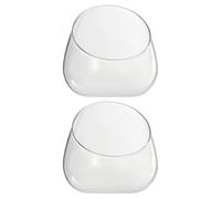 COHEALI Lot de 2 Bouteilles en Verre Transparent Biseauté pour Micro-Paysage Pots Décoratifs Multifonctionnels pour Succulentes Rangement Maison et Jardin Vase en Verre pour Plantes