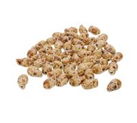 COHEALI Perles en Porcelaine Tête de Mort 50 Pcs Perles D’Espacement en Céramique pour Bracelets DIY Bijoux Halloween Accessoires Créatifs Breloques Résistantes et Stylées