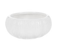 COHEALI Petit Bol à Caviar en Céramique Blanche pour Chefs et Traiteurs | Surface Lisse, Format Compact, Gain de Place, Portion Contrôlée, pour Ail, Sauce Soja, Pique-niques et Buffet