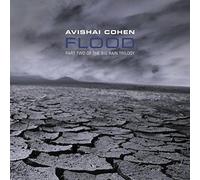 Avishai Cohen – Flood – Delta