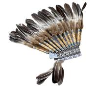 Coiffe indienne en plumes, coiffure indienne, cosplay amérindien, costumes d'Halloween pour hommes et femmes, accessoires pour cheveux, coiffe en plumes amérindienne