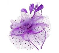 Coiffe légère en maille à plumes pour femme, style vintage, bibi pour décoration de fête et de mariage