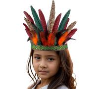 Coiffe, style vintage, avec plumes, pour costumes d'Halloween, tribaux indiens, couronne de cheveux, pour les spectacles sur scène, la photographie (rouge, taille unique)