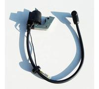 Coil d'allumage EY15 compatible avec EU15 208 3 5HP 4T Le moteur Magnéto Stator Ignitor comprend un capuchon d'étincelle 226 70132 08