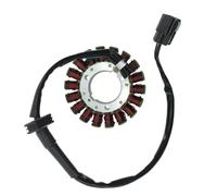 Coil d'allumage stator compatible avec 302S BN302R BN302 BN300 TNT249S TNT250 TNT300 TNT25 300 TRK502X RKX et autres modèles