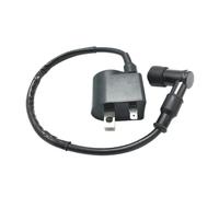 Coil d'ignition avec Spark Plug Cap Compatible avec LT50 LT 50 All Years Quadrunner