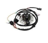 Coil Magneto Stator Accessoire De Bobine Stator Pour Ka&wasaki 21003-1380 KX250 KX250-K5 1998, Générateur Moto, Magnétique