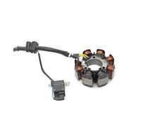 Coil Magneto Stator Bobine De Stator De Générateur De Moto, Pour Ho&n&da TRX250TM FourTrax 250 TRX250TE ES TRX250TM TRX250TE Recon 250 TM ES 31120-HM8-B00