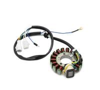 Coil Magneto Stator Bobine De Stator Magnétique Pour Générateur De Moto, Pour Yam&aha TTR225 TT-R225 XT225 225 ST225 225 4JG-85510-01 4JG-85510-01