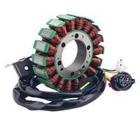 Coil Stator Generator Stator 2.1.01.2060 Ignition Stator, 300cc