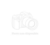 Coins photo grand format