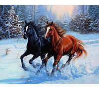 COKYIS 5D Diamond Painting cheval qui court dans la neige DIY Diamant Painting Kit Complet Diamant Arts Canevas Craft Maison Décoration Murale Decor(40 * 50cm)