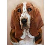 COKYIS 5D Diamond Painting Chien basset DIY Diamant Painting Kit Complet Diamant Arts Canevas Craft Maison Décoration Murale Decor(40 * 50cm)