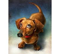 COKYIS 5D Diamond Painting teckel DIY Diamond Painting Kit Complet Diamant Arts Canevas Craft Maison Décoration Murale Decor(40 * 50cm)