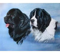 COKYIS 5D Diamond Painting Terre-Neuve DIY Diamant Painting Kit Complet Diamant Arts Canevas Craft Maison Décoration Murale Decor(40 * 50cm)