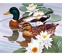 COKYIS Kit Broderie Point de Croix Compté canard mandarin lotus DIY débutant canevas point de croix kit 11CT toile pré-imprimé noel décoration de la maison,40x50cm