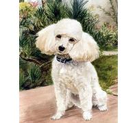 COKYIS Kit Broderie Point de Croix Compté Caniche DIY débutant canevas point de croix kit 11CT toile pré-imprimé noel décoration de la maison-40x50cm